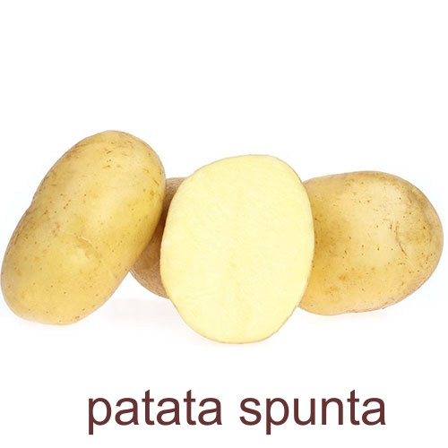 Patata spunta